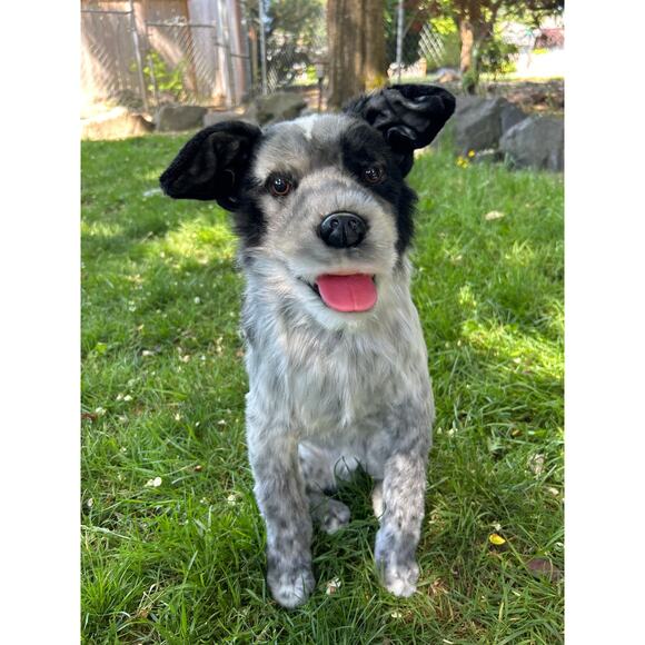 Cuddle Clone Realistic Black White Gray Standing Australian Cattle Dog JUDE - Picture 1 of 8